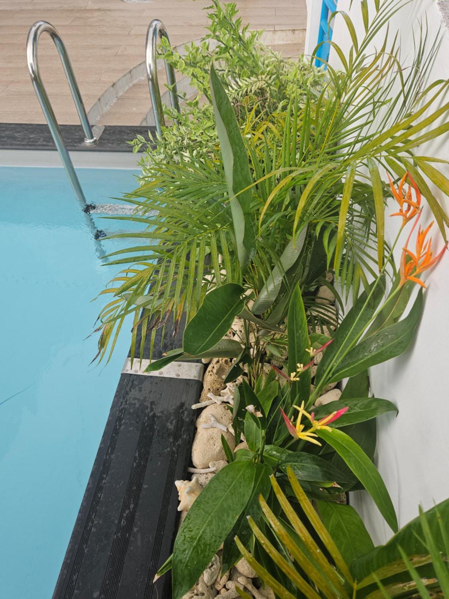 Ti Oasis Colibri, 1 Chambre, Piscine, A 150M De La Plage Sainte-Luce Exteriör bild